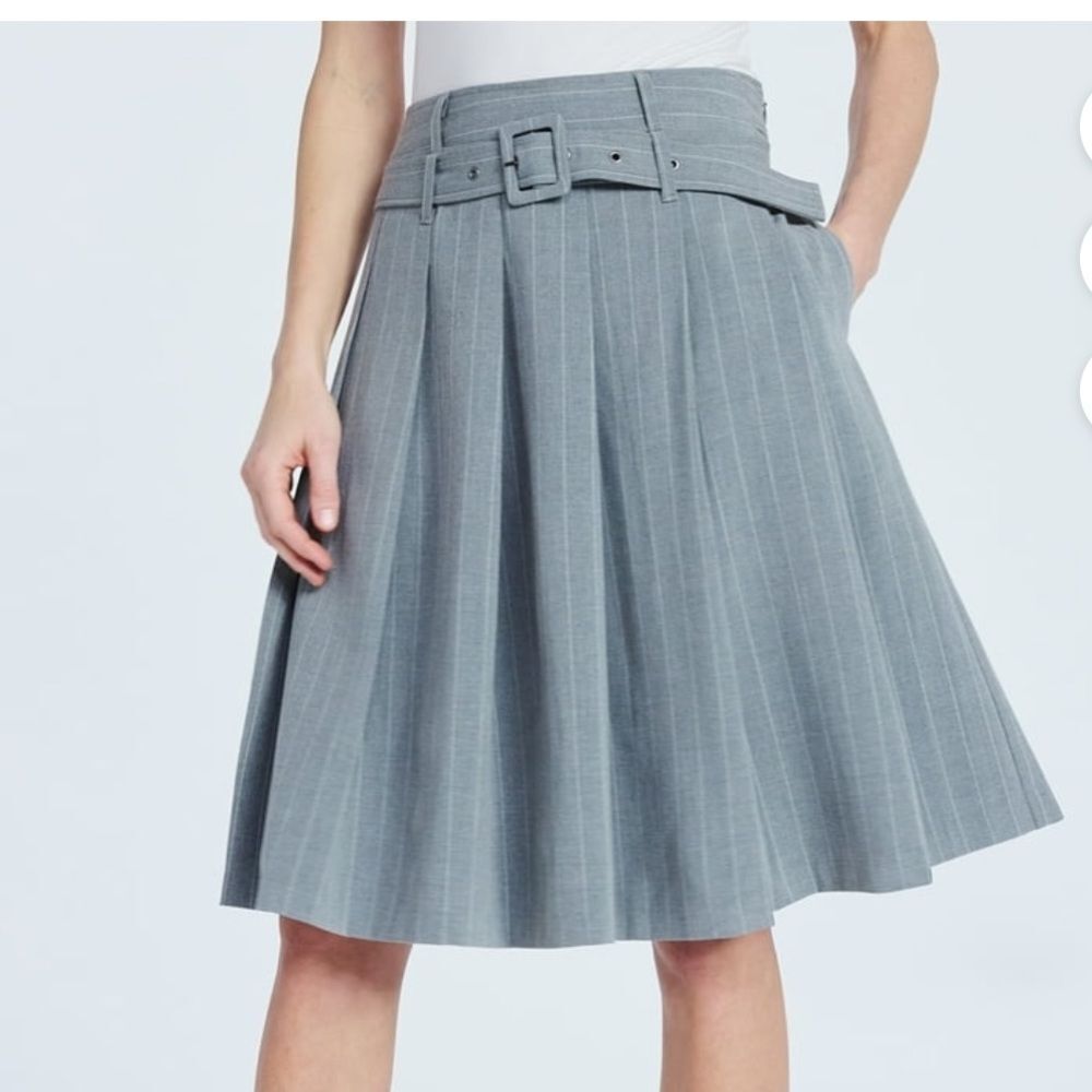 NEW Scoop gray pinstripe pleated midi skirt A-line belted size 8 preppy academic - Picture 1 of 8